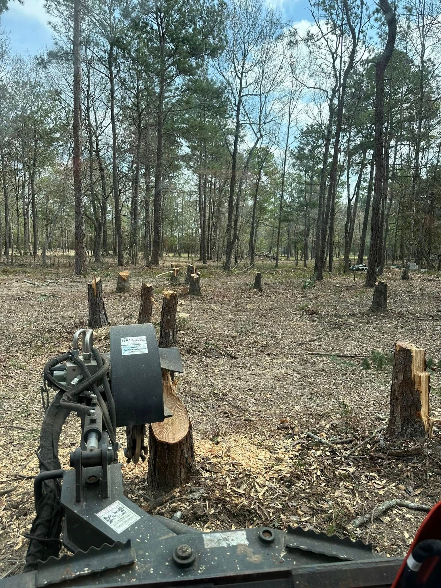 View from a machine in a forest clearing. Tree stumps and logs are visible, indicating recent logging activity.