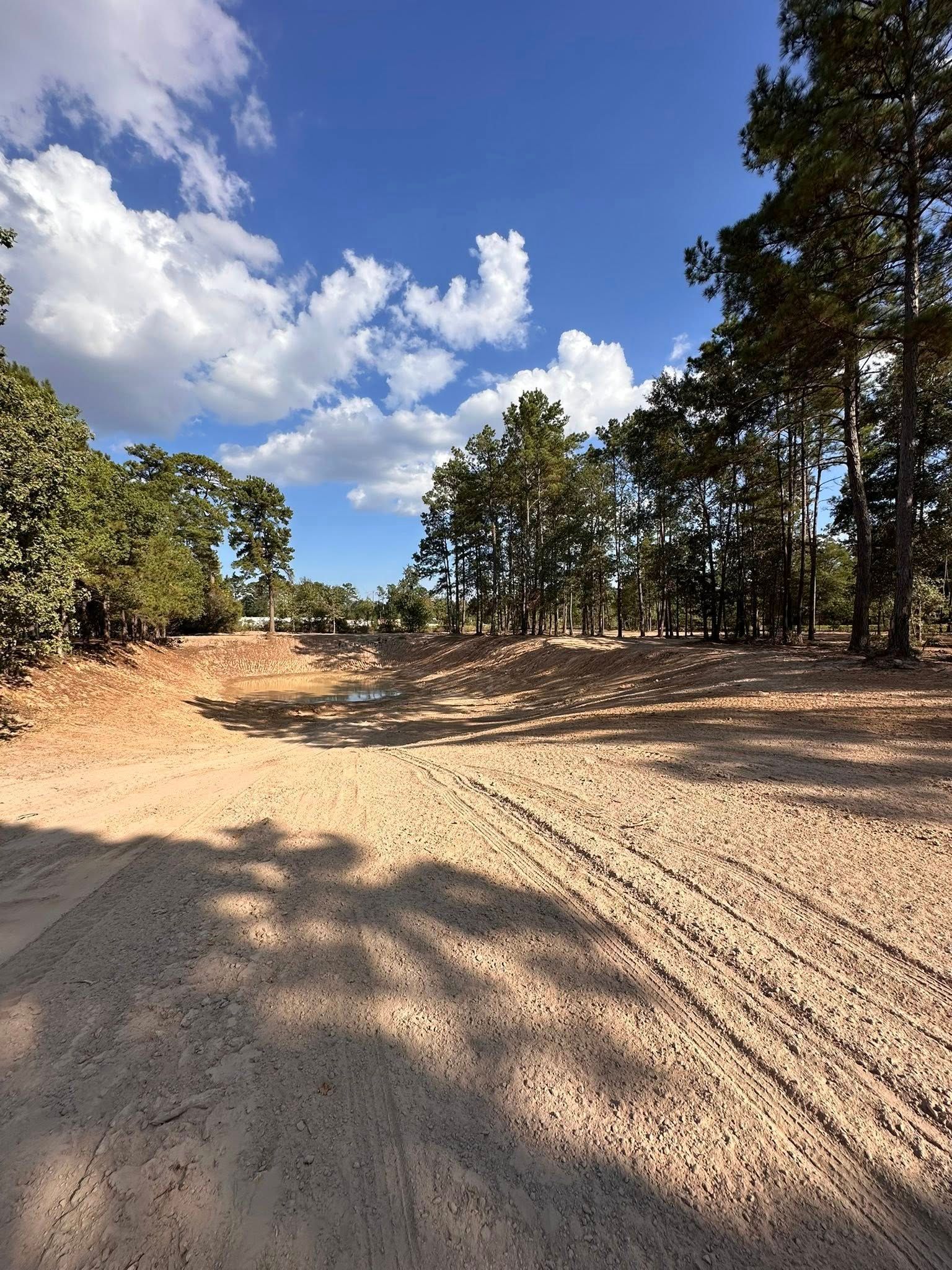 Dirt road under blue sky, flanked by trees and clouds; sunny day.