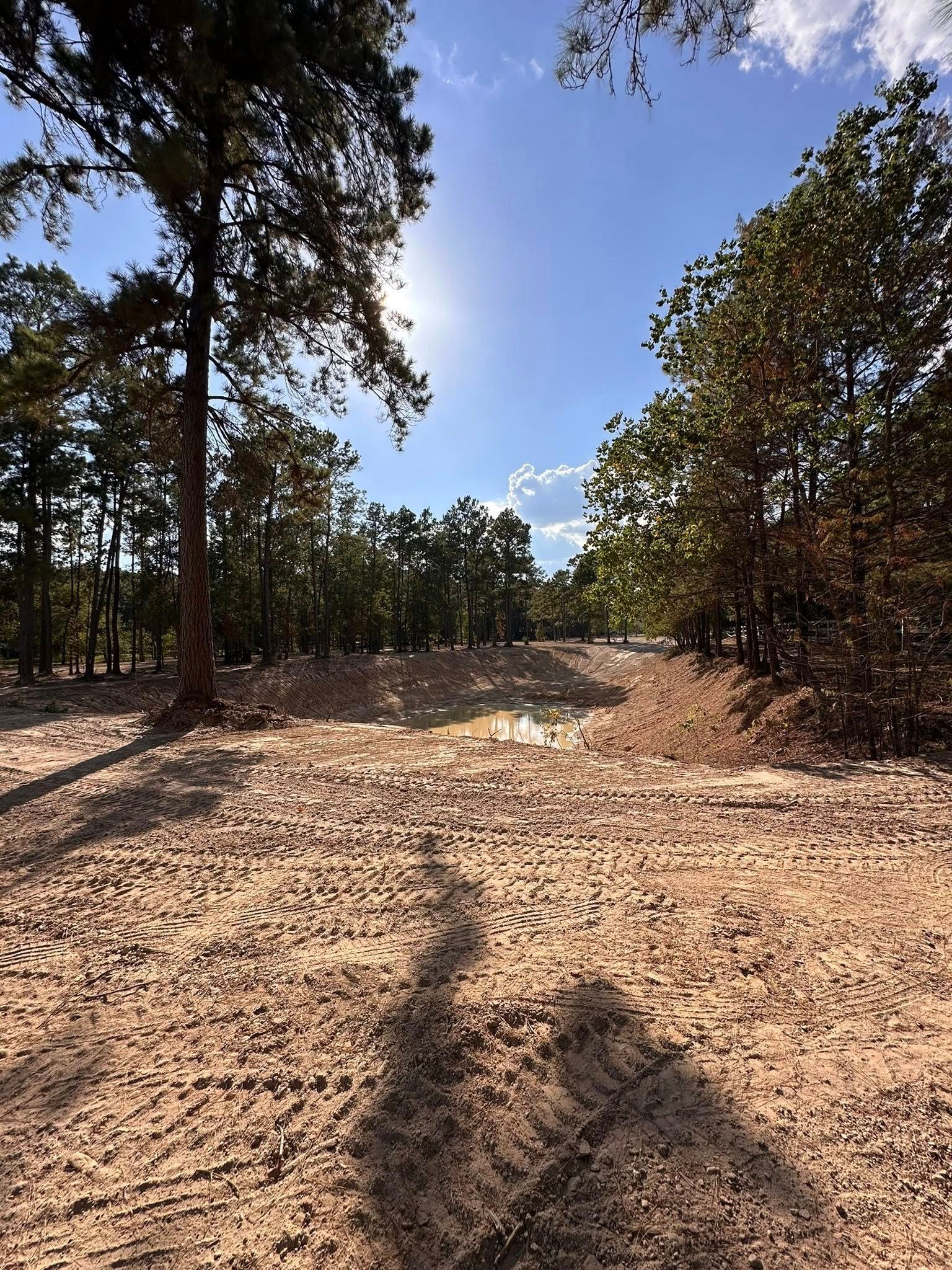 Dirt path through trees, bright sun, blue sky.