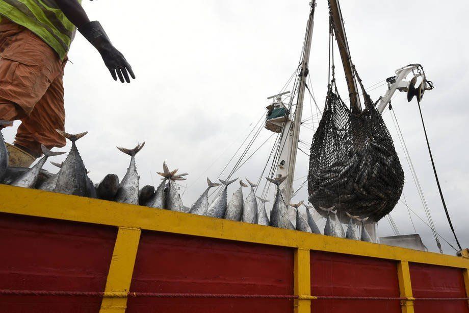 Over 30 nations & the European Union have accepted the FAO agreement to tackle illegal fishing. 