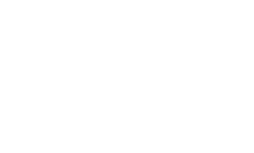 Blue Chip Foundation logo