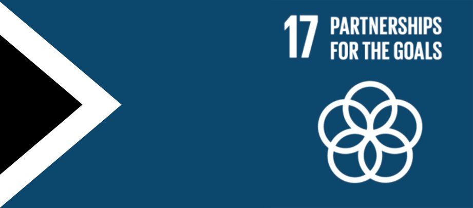 A blue background with a white flower and the words `` 17 partnerships for the goals ''