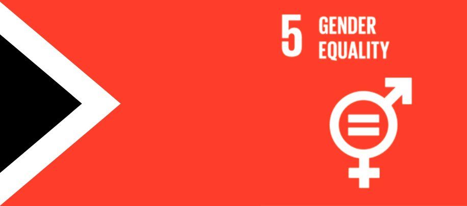 A red background with a female and male symbol and the words gender equality