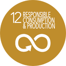 SDG number 12 responsible consumption and production logo