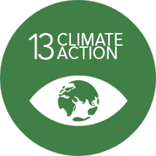 Blue Chip Foundation goals, number thirteen Climate Action