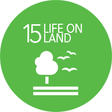 SDG's #15 life on land logo