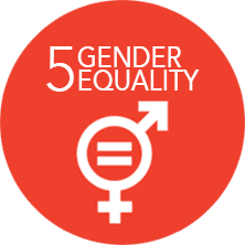 Sustainable Development Goal Gender equality icon