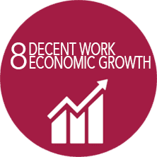 SDG's Goal #8 Decent Work Economic Growth logo