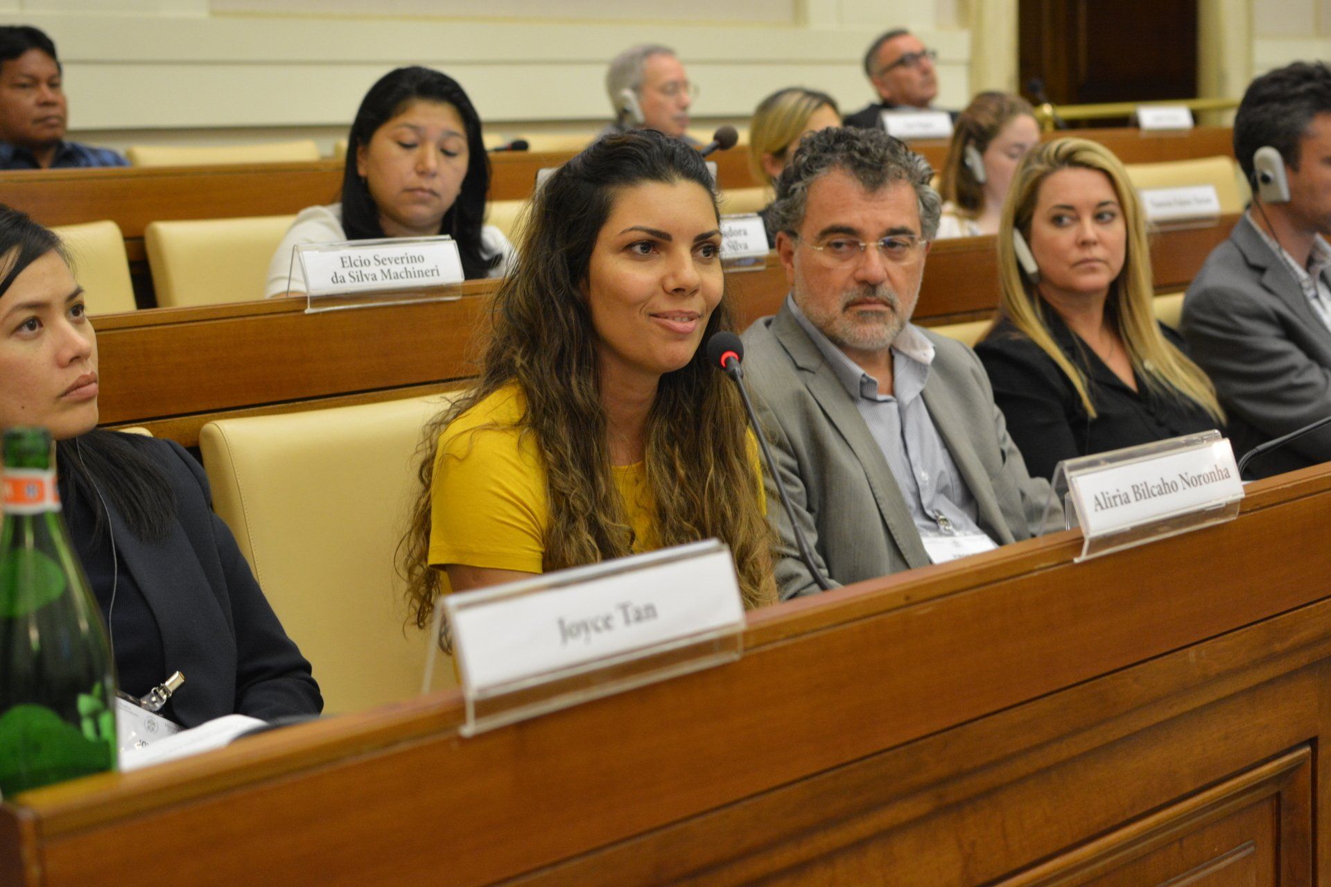 A group of people at the  Ethics in  Action and Indigenous Peoples meeting