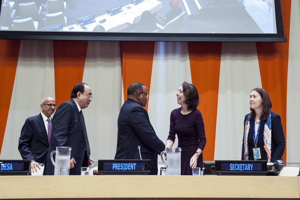 ‘Sustainable, inclusive societies,’ priority for new President of UN economic and social body