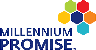 Millennium Promise organization oversees the Millennium Villages Project