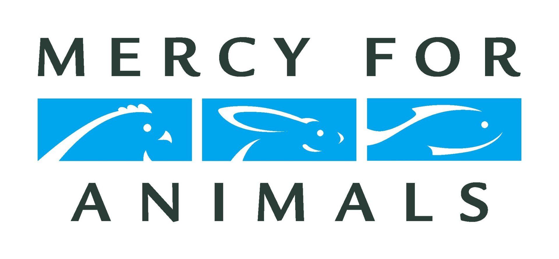 Mercy for Animals’ work aligns with the following UN Sustainable Development Goals