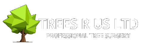 Trees R Us Tree maintenance at great prices from Trees R Us