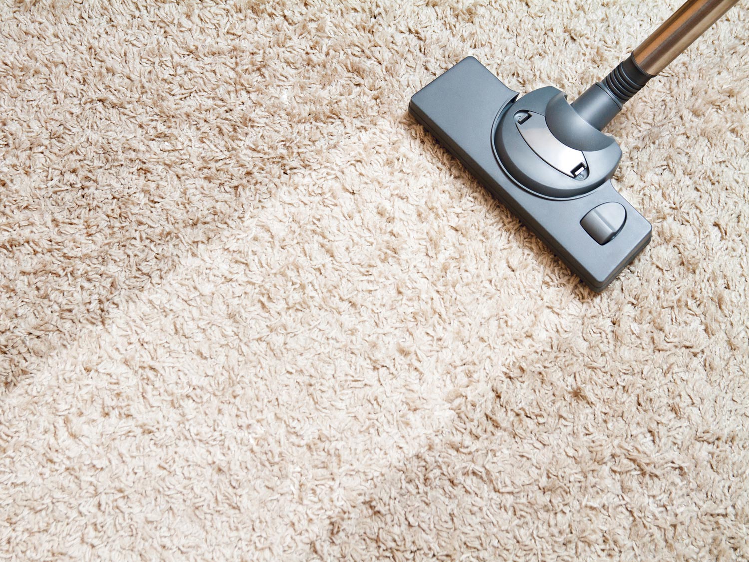 Carpet Cleaning — Hoquiam, WA — Professional Care Cleaning