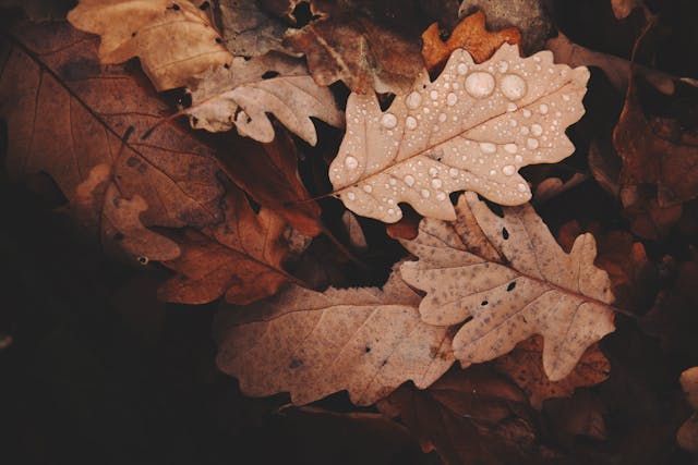 vestahomeenergy