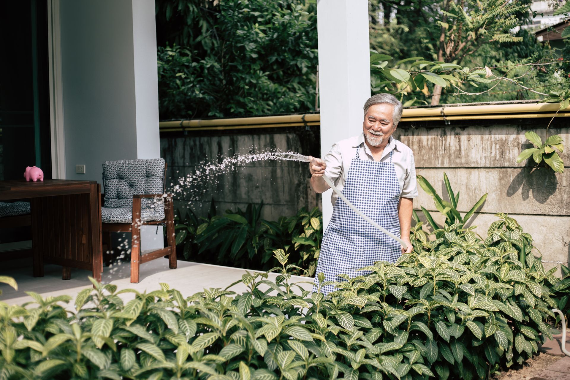 An elderly man is watering plants in his garden with a hose.