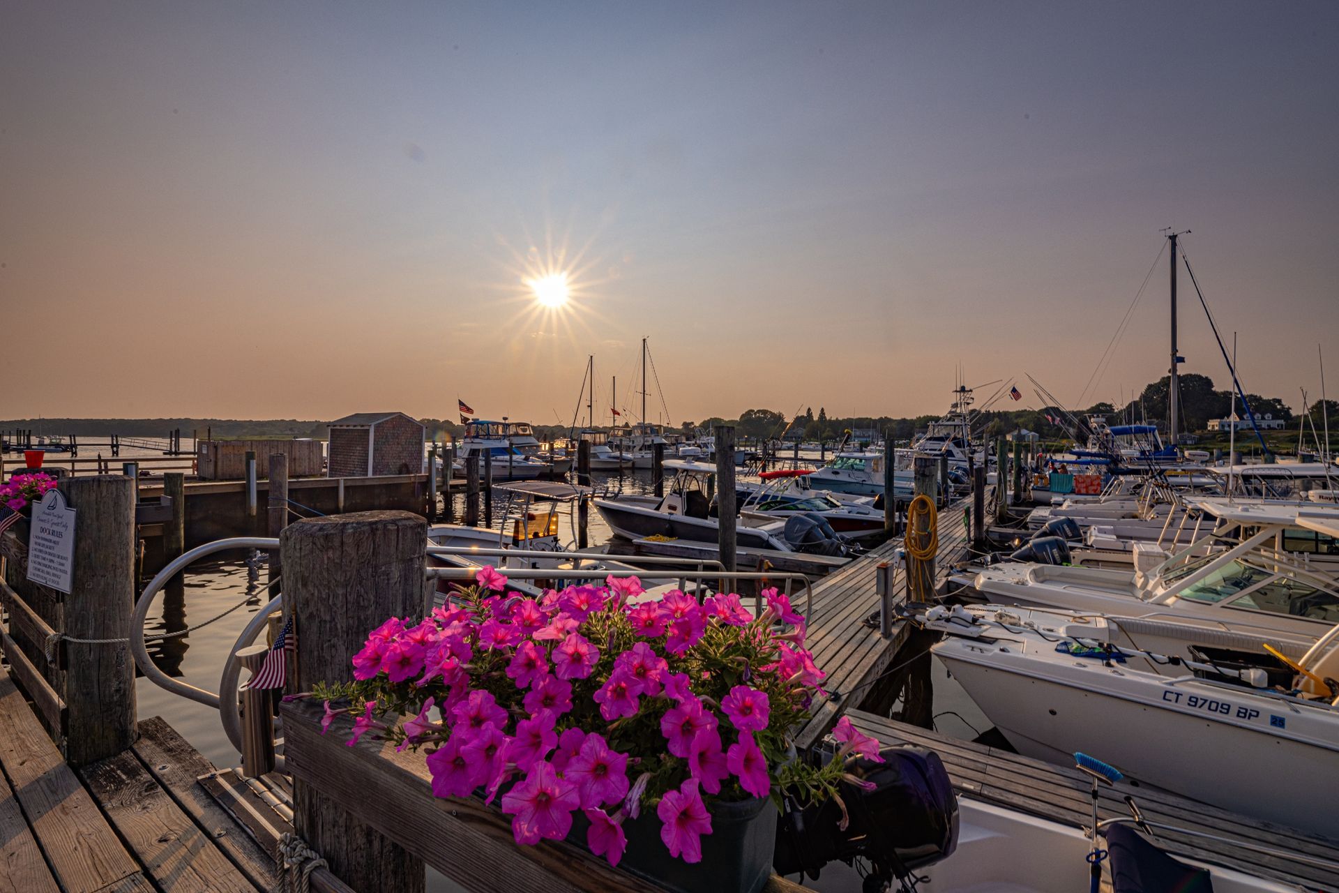 A dock filled with boats and flowers at sunset.