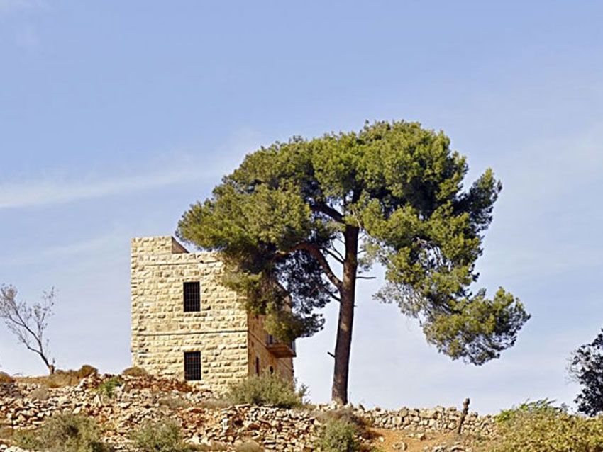 A stone building with a tree in front of it