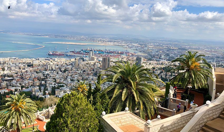 An aerial view of a city with palm trees and stairs in the foreground.