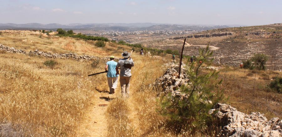 Two people are walking down a dirt path in a field.