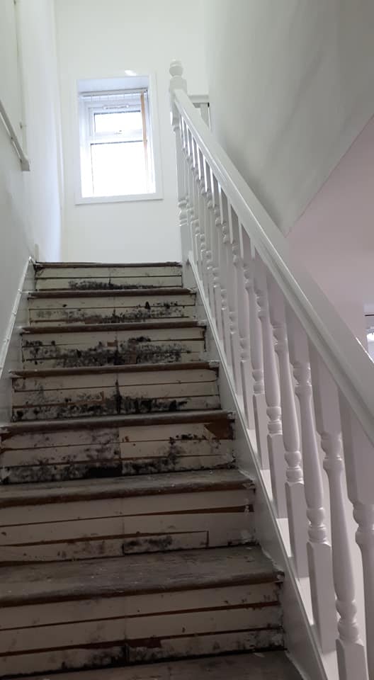 DMLater Complete Office Makeover