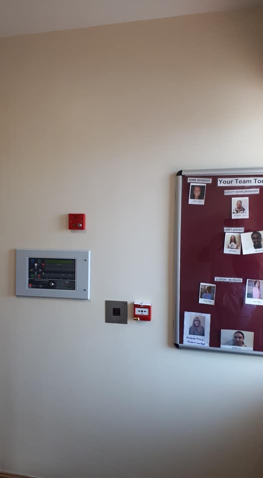 dmlater business painting service