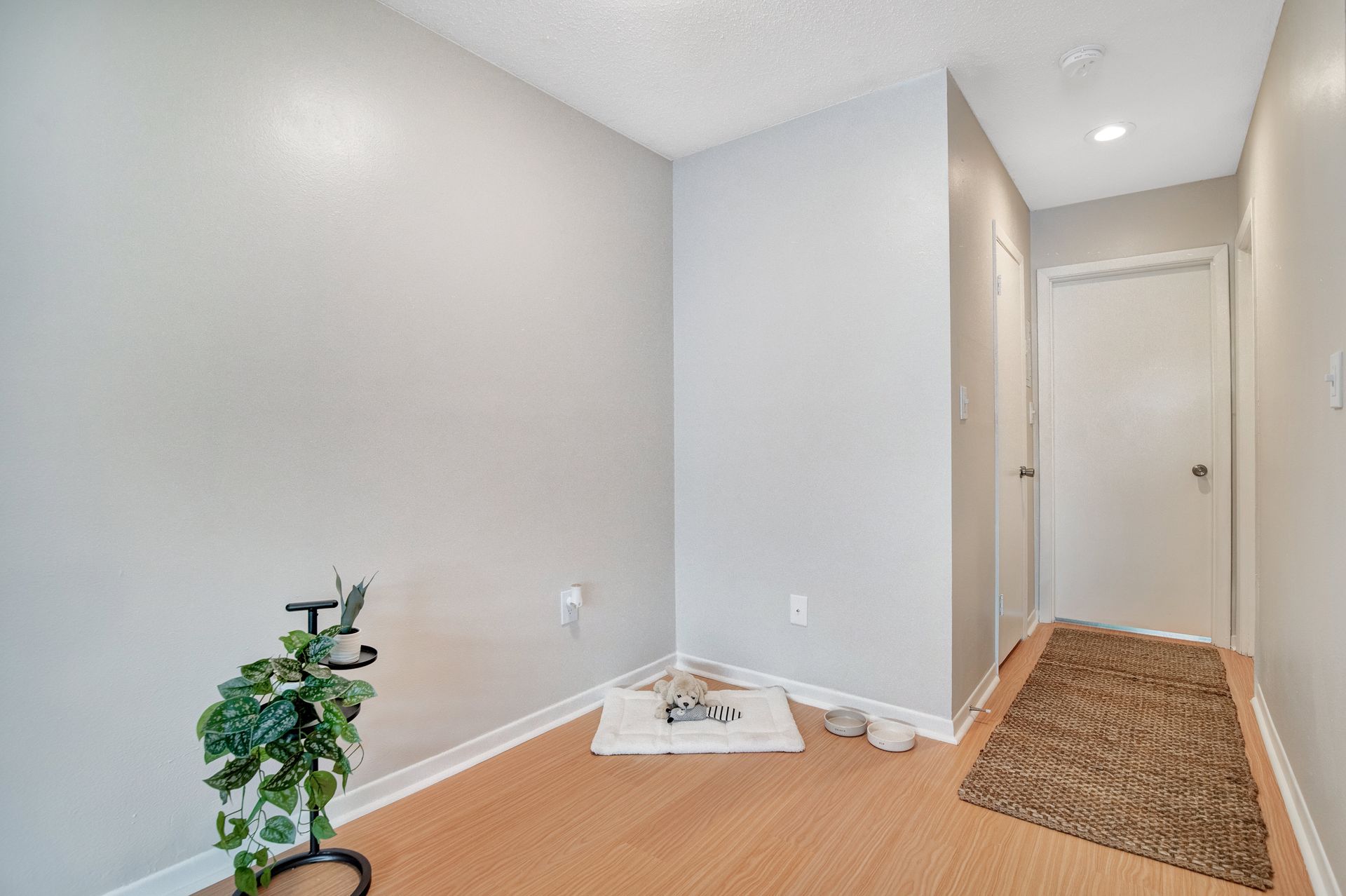 There is a plant in the corner of the room.