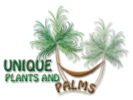 Unique Plants and Palms