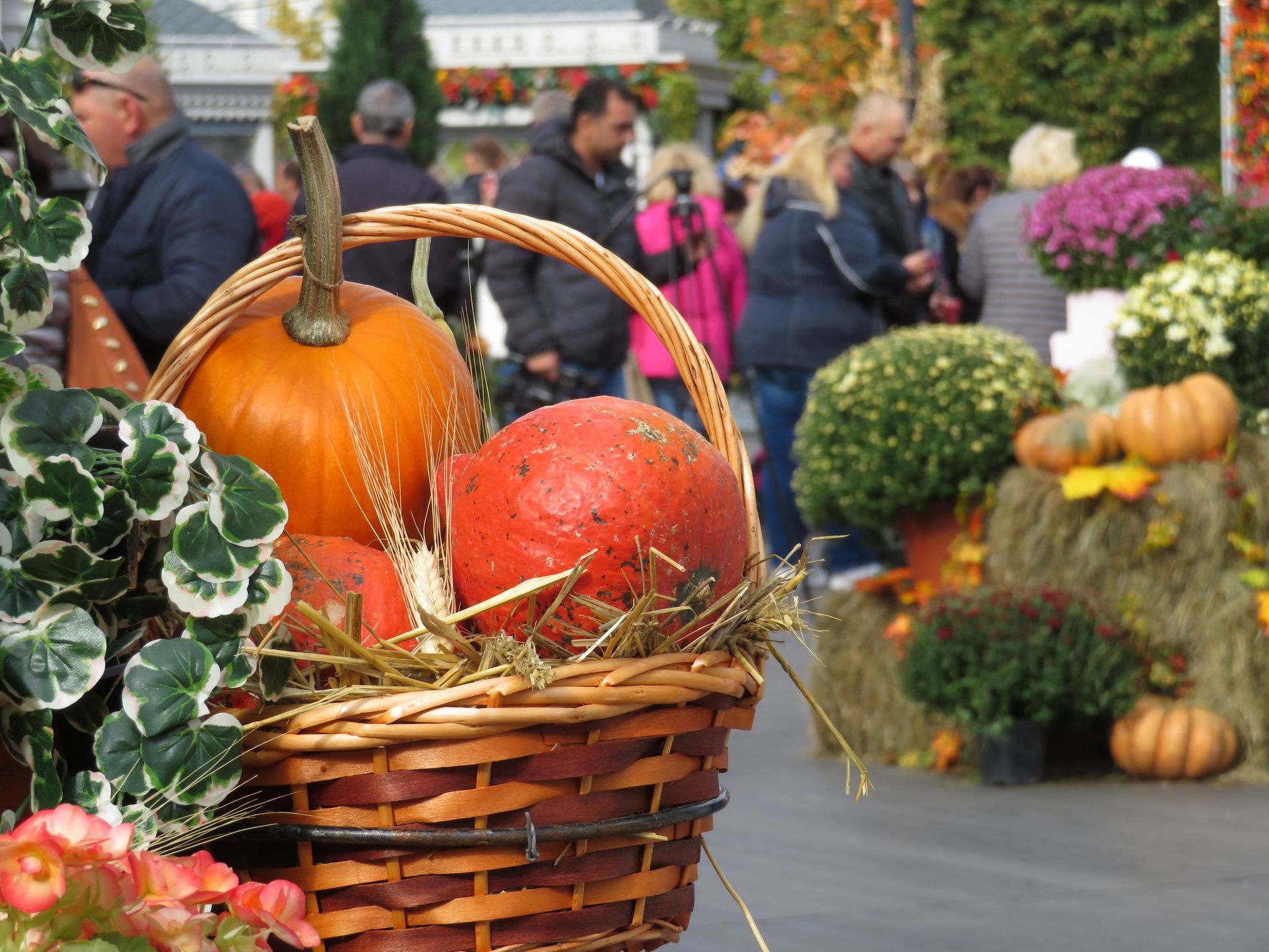 A wicker basket filled with pumpkins and hay