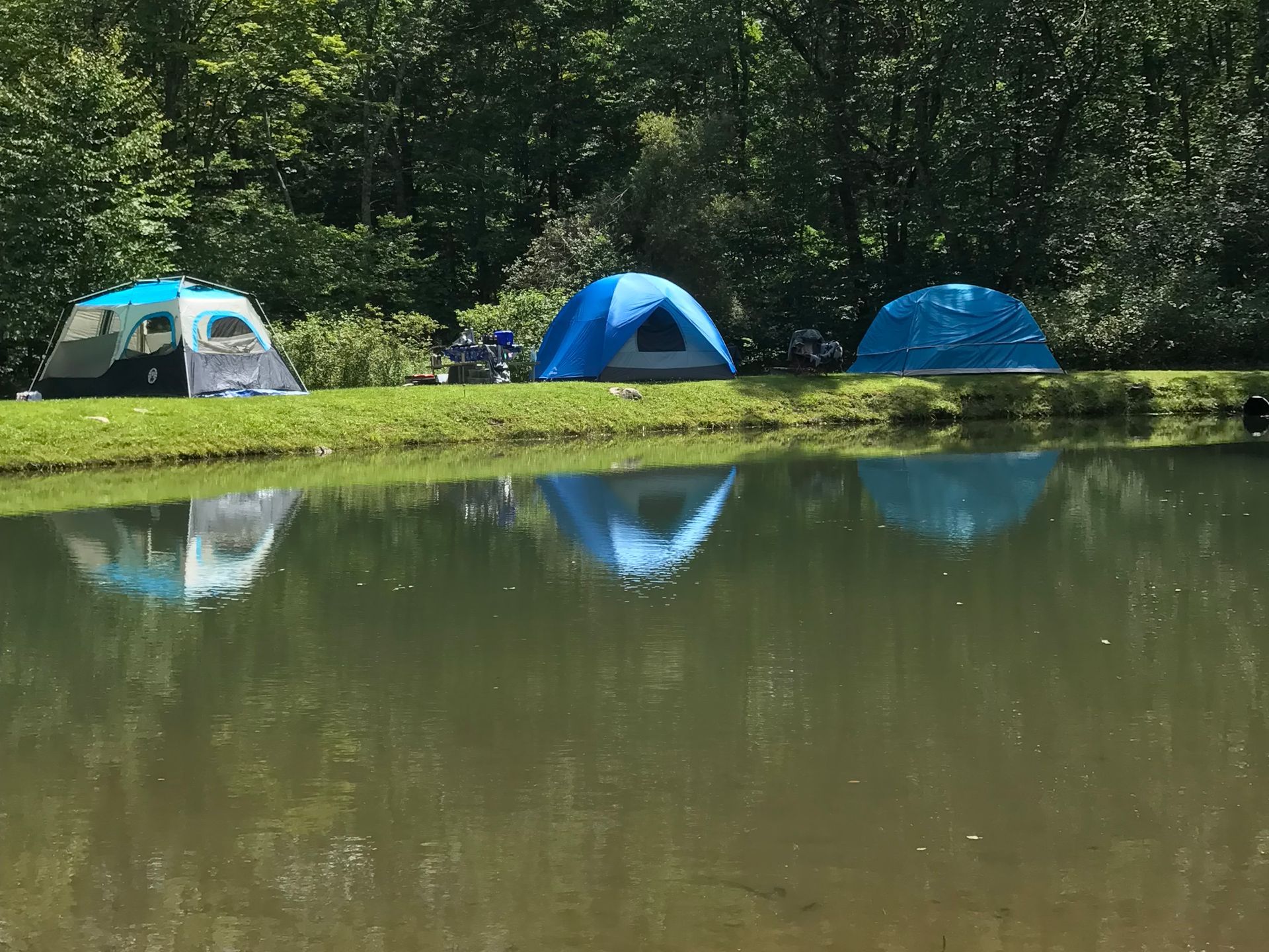 a car is parked in front of a tent in the woods .