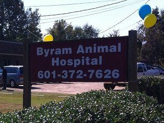 Byram Animal Hospital Mississippi