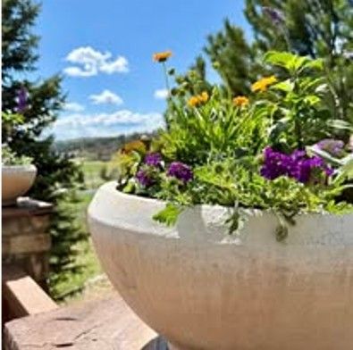 Stone planter filled with purple and yellow flowers; green foliage, blue sky with clouds in background.