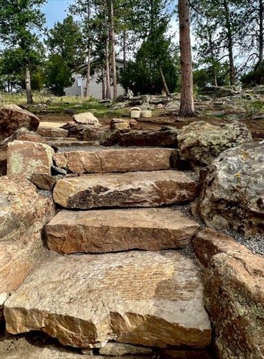 Stone steps leading up a hillside in a natural setting. Trees and green vegetation surround the stairs.