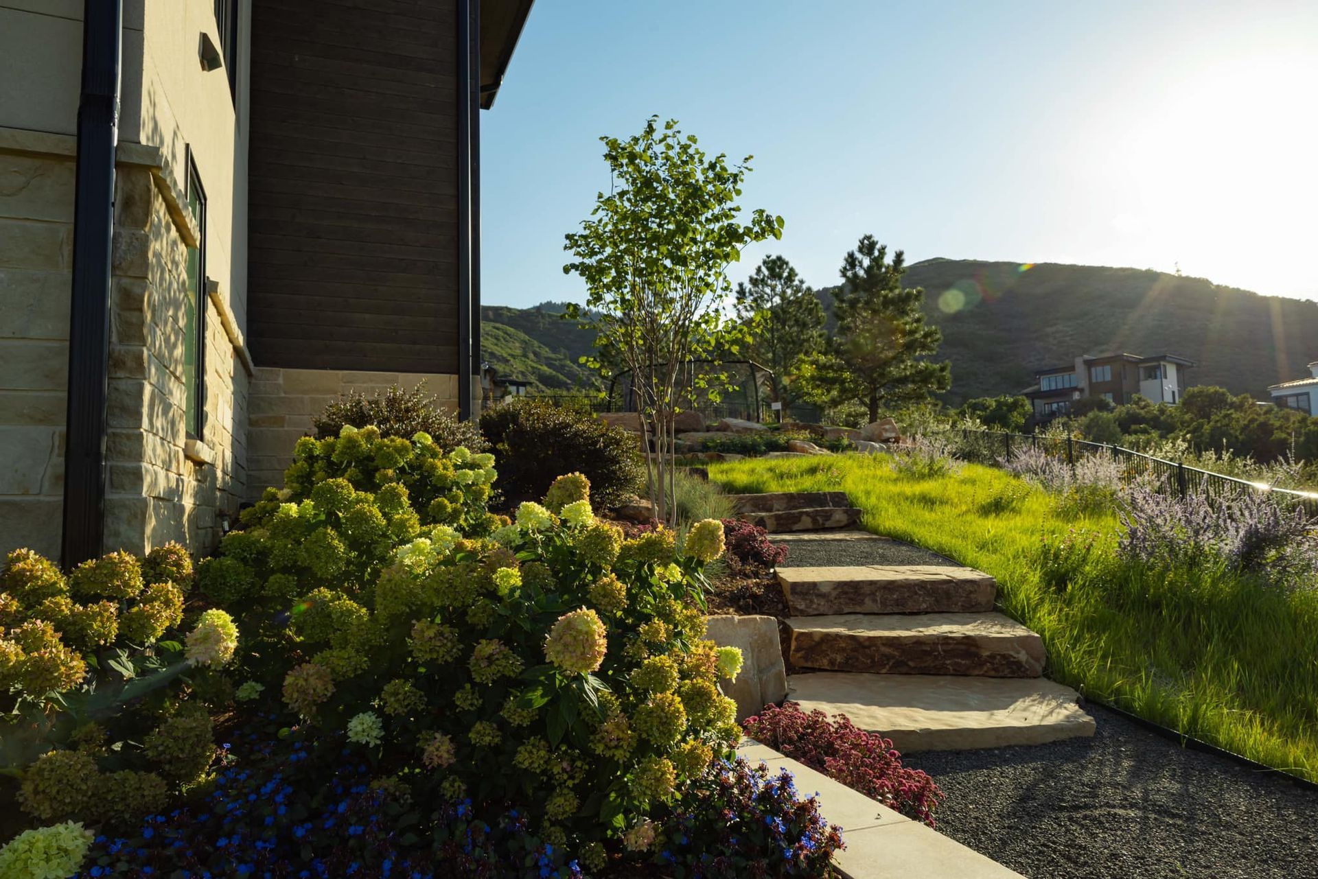 Stone steps lead up a grassy hill with flowering plants. The sun shines.