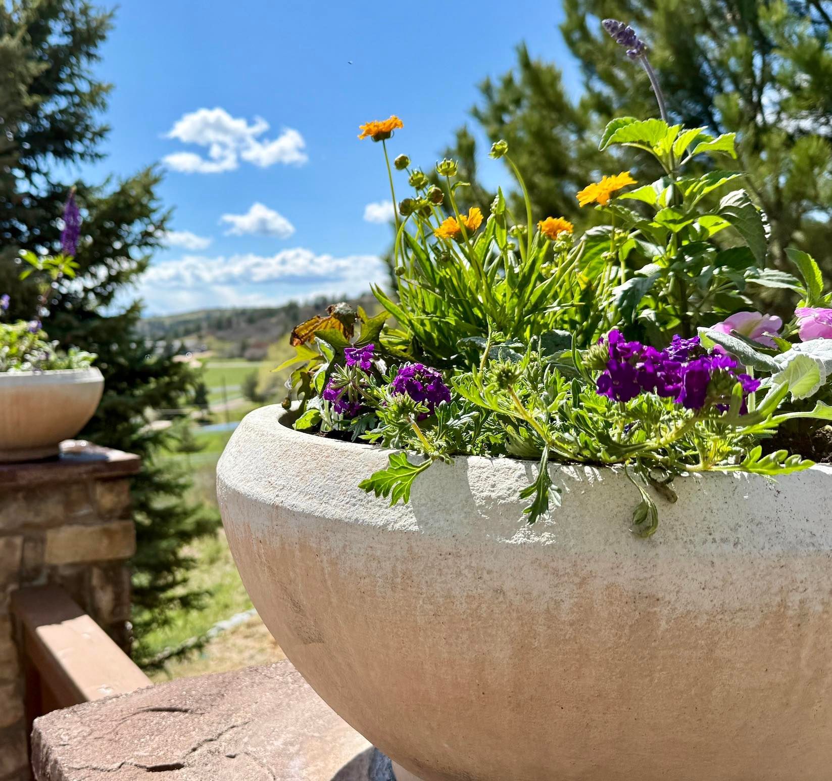 Stone planter overflowing with colorful flowers against a sunny landscape.