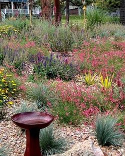 Birdbath in a vibrant, colorful garden of wildflowers and grasses; gravel path in foreground.