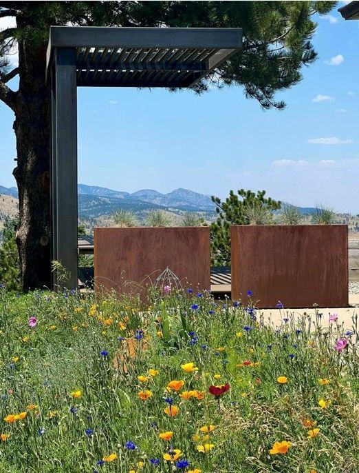 Wildflowers bloom in front of two rust-colored rectangular walls and a shaded patio, mountains in the distance.