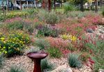 Birdbath in colorful garden bed with various plants and small rocks.