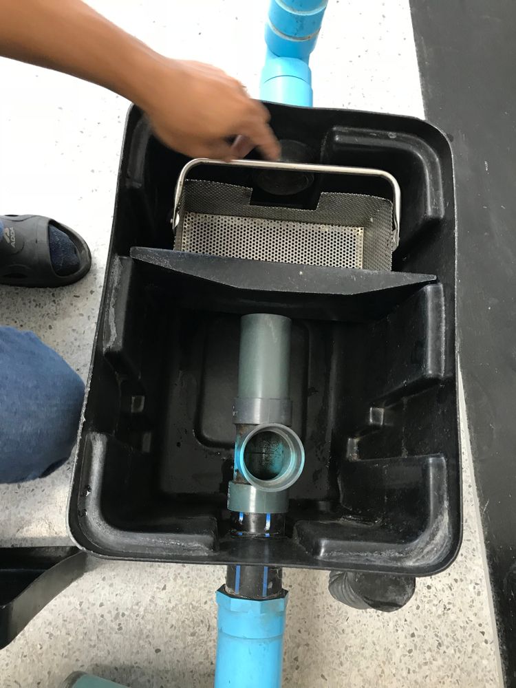 Hand Opening a Black Drain Basin with Blue Pipes and A Filter Inside — Tamworth Septic & Liquid Waste in Gunnedah, NSW