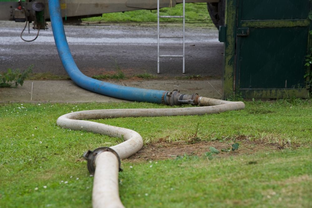 White Hose on Grass Under a Structure, with A Blue Hose and Ladder — Tamworth Septic & Liquid Waste in Gunnedah, NSW