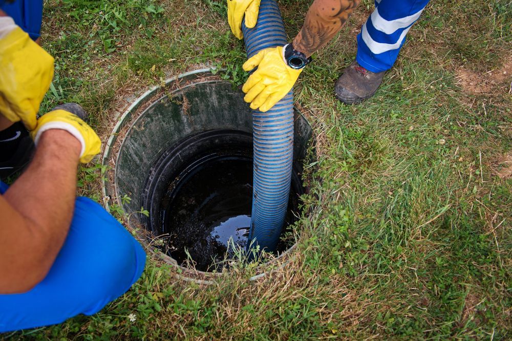 Worker Lowering a Blue Hose Into a Manhole on A Grassy Lawn — Tamworth Septic & Liquid Waste in Armidale, NSW