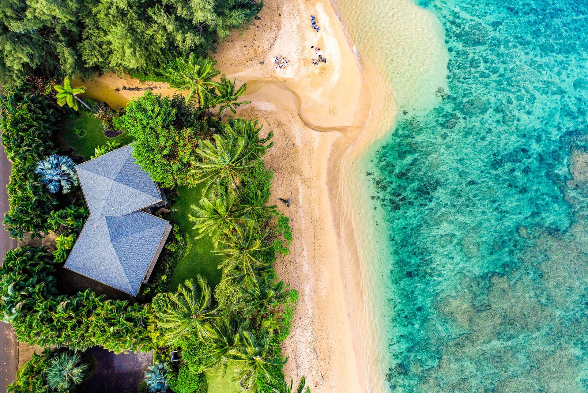 House nestled in lush greenery beside a sandy beach with turquoise water.