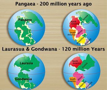 Evolutionary Geology