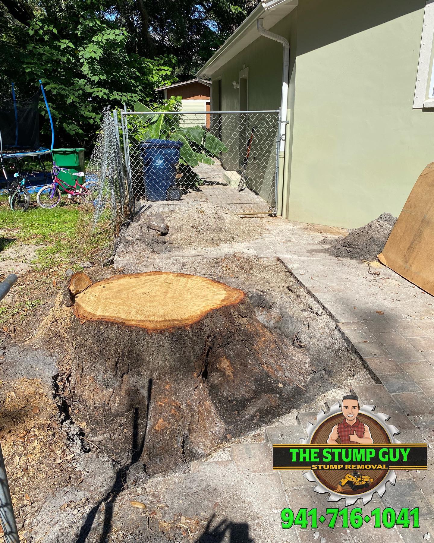 Tree stump, freshly ground. Green house and fence in the background.