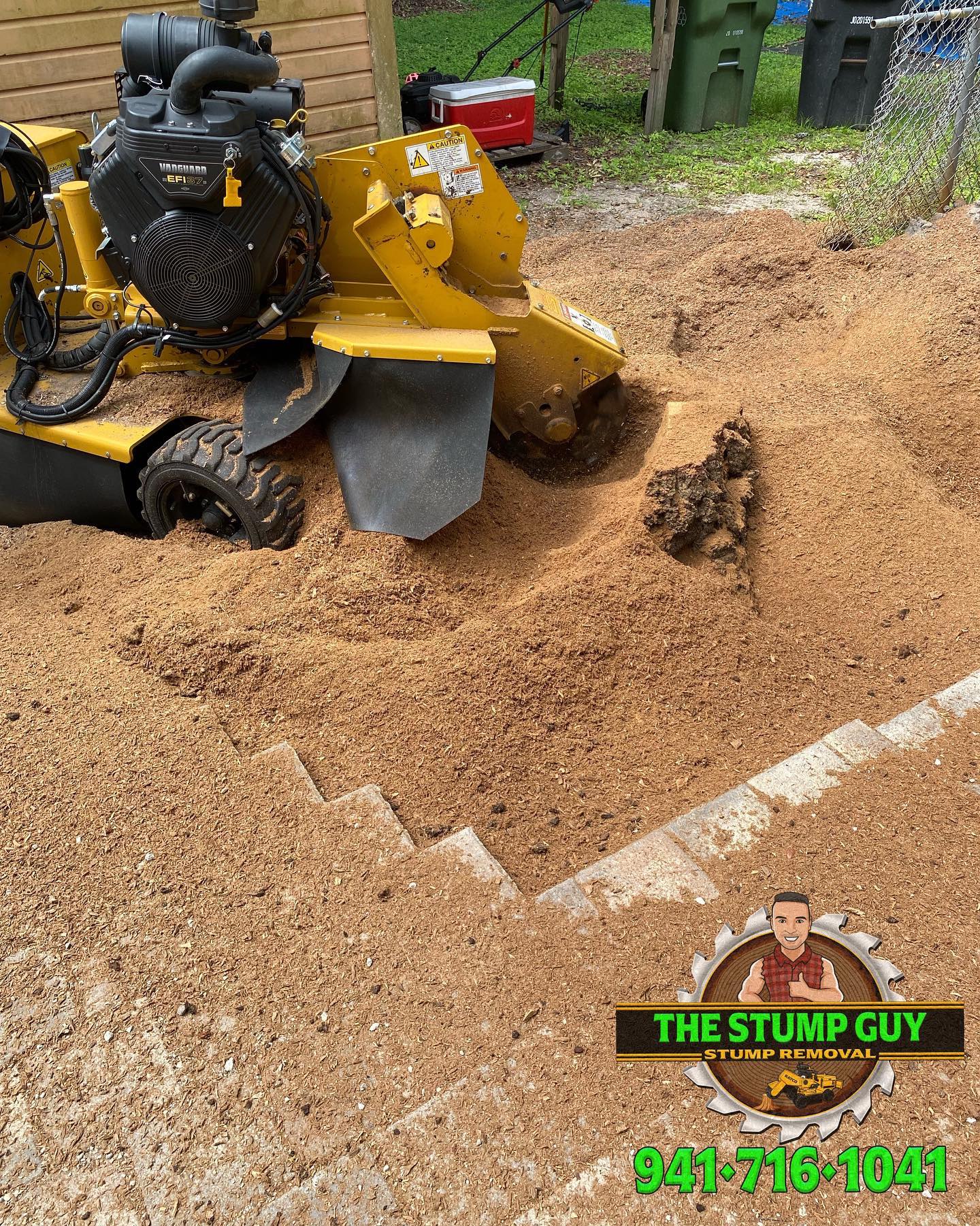 Stump removal | Tampa, FL | The Stump Guy of Tampa