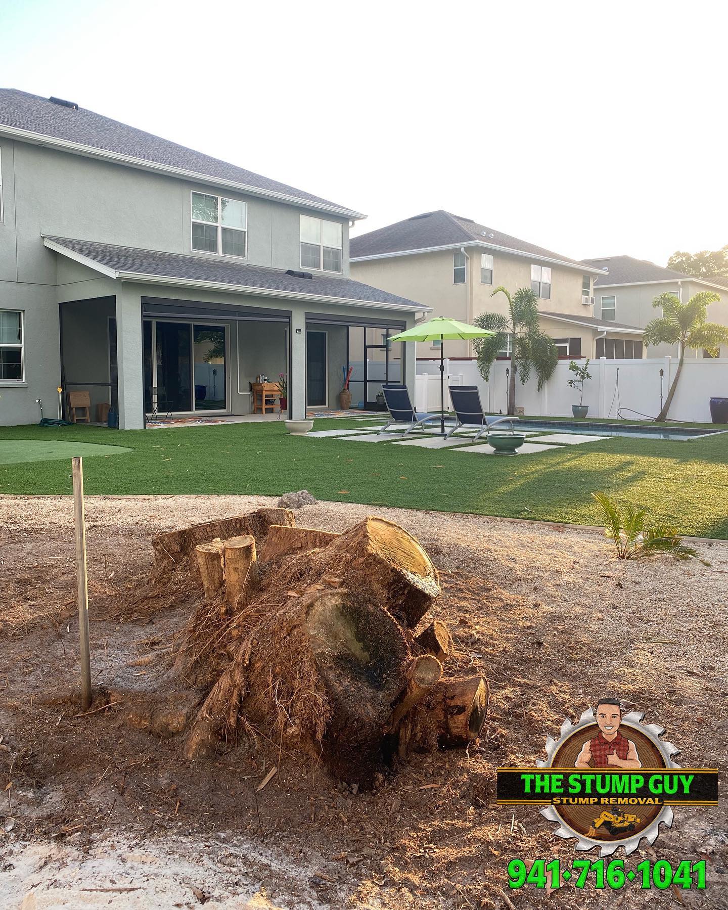before stump removal | Tampa, FL | The Stump Guy of Tampa