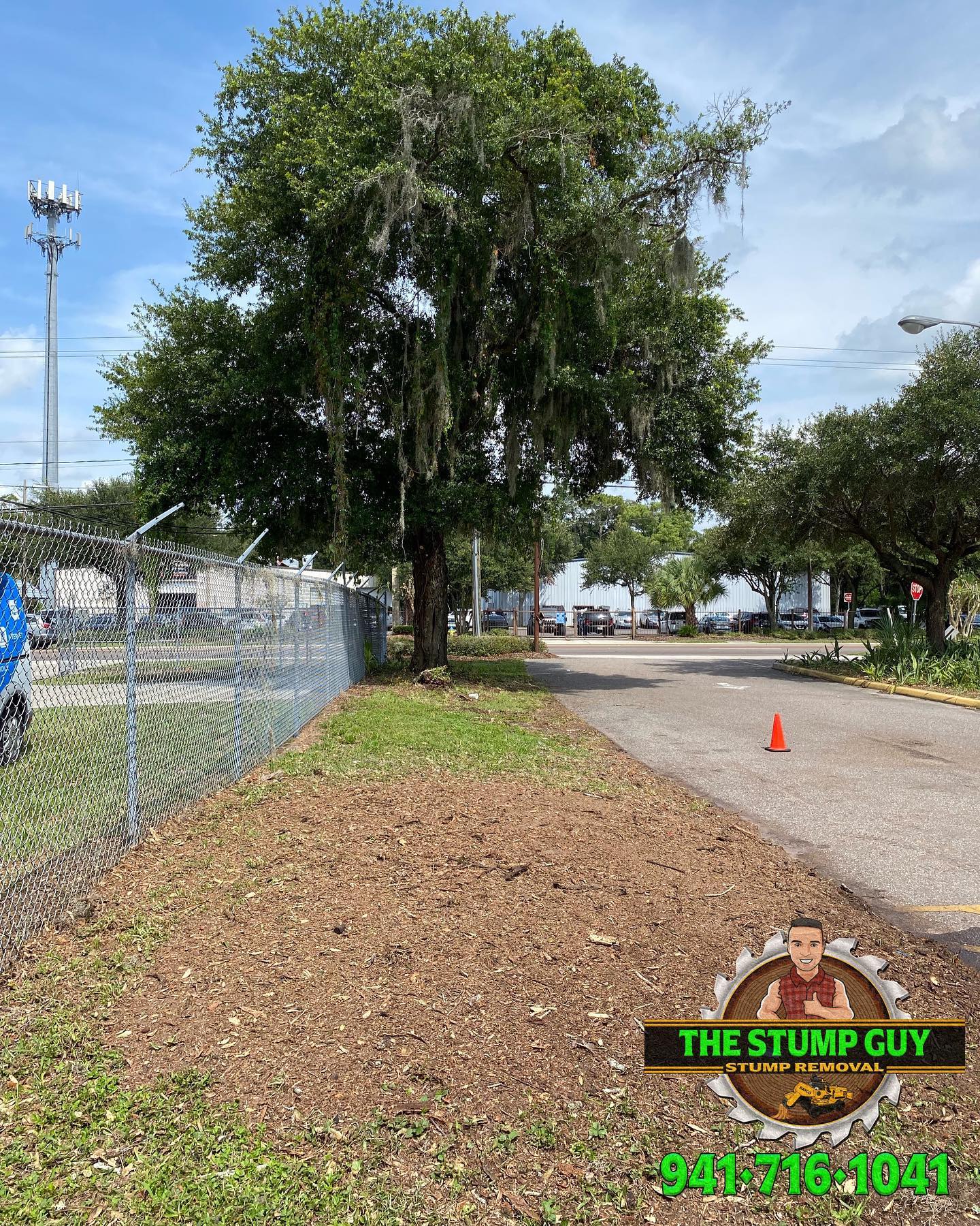 After stump removal | Tampa, FL | The Stump Guy of Tampa