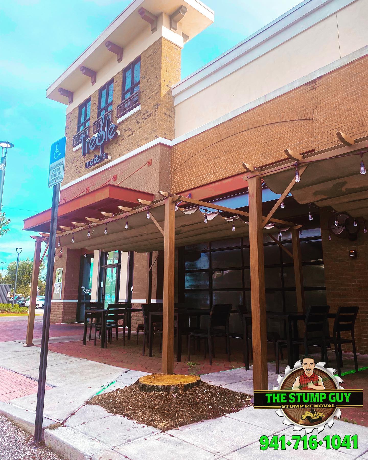 Stump Grinding | Tampa, FL | The Stump Guy of Tampa