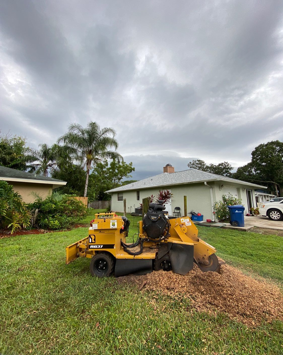 Stump Removal | Tampa, FL | The Stump Guy of Tampa