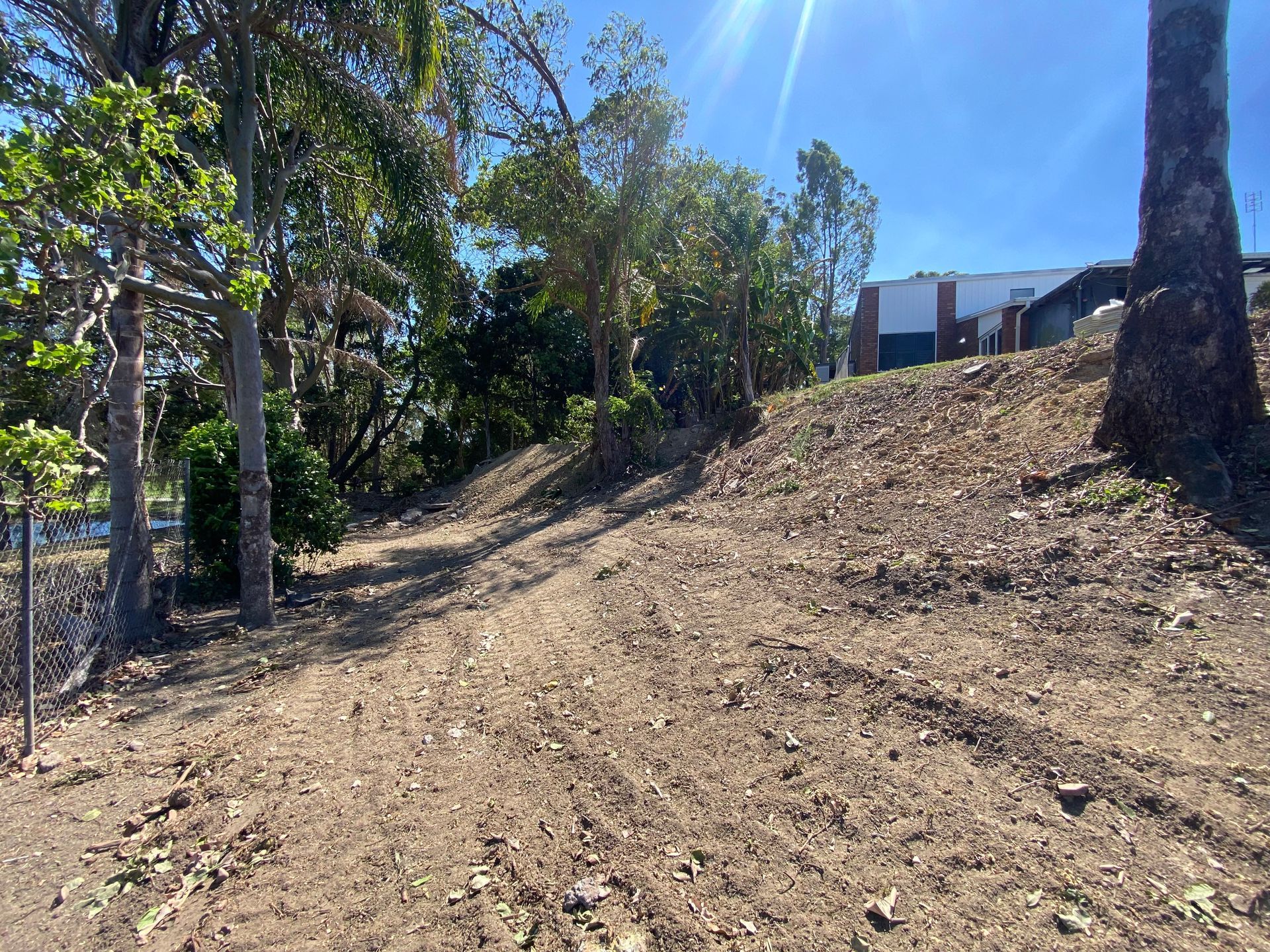 Dirt path ascending a small hill, bordered by trees on the left and sparse foliage. Sunny day.